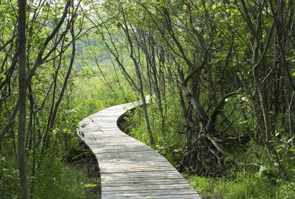 Boardwalk designed by Reed Hilderbrand Associates Inc Landscape