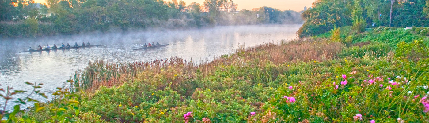 Rivergreen Park Everett - cropped for web