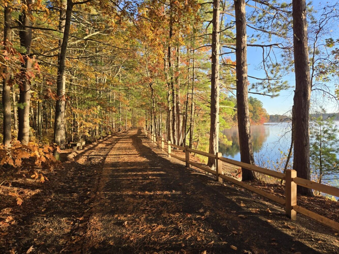 Feltes-Sunrise at Haggetts Rail Trail