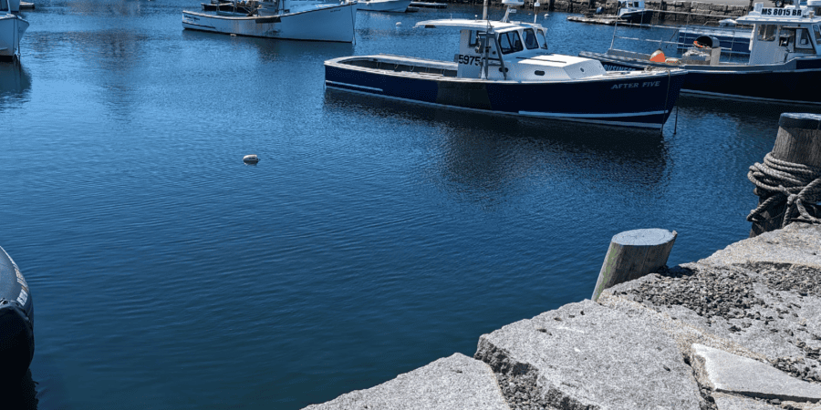 Water, Environment, & Community Solutions